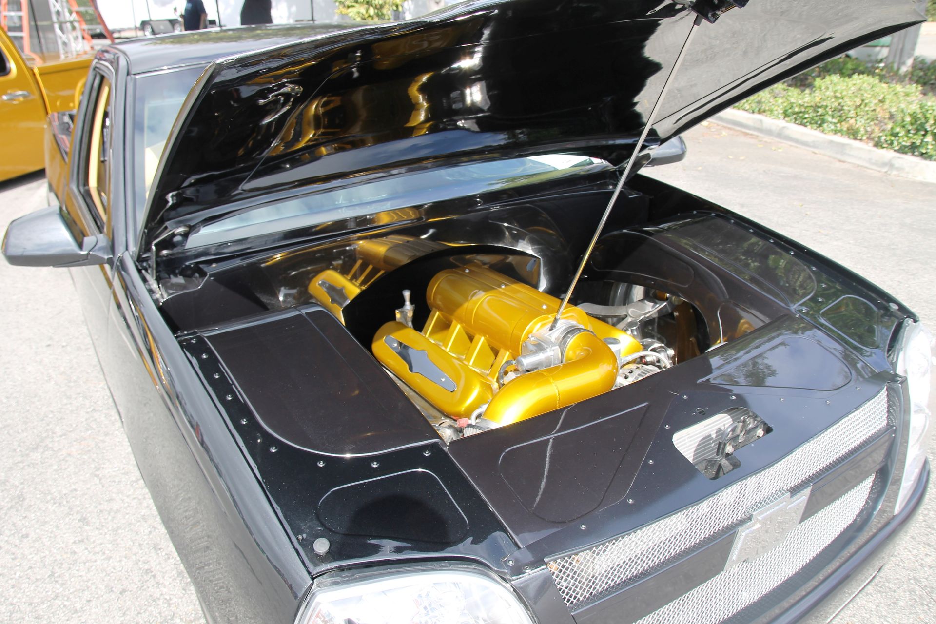 Full View
