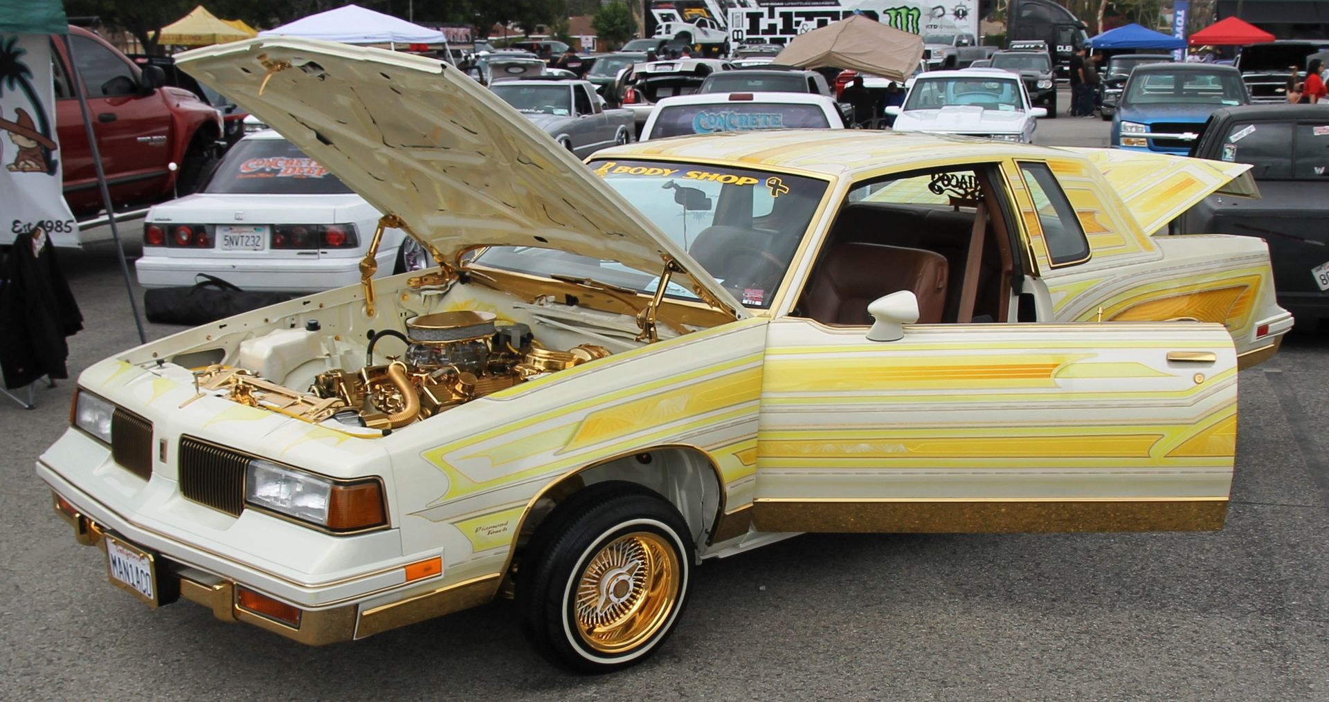 Full View