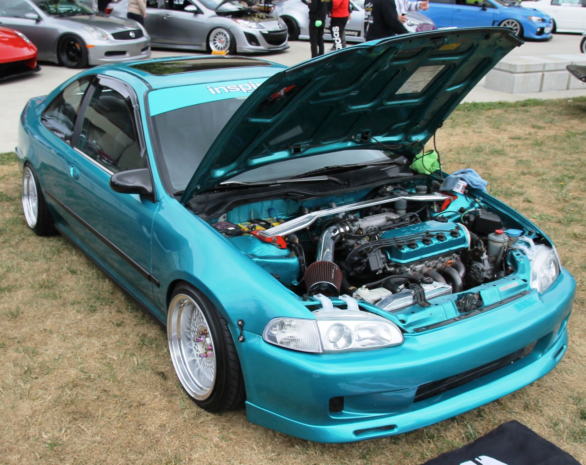 Full View