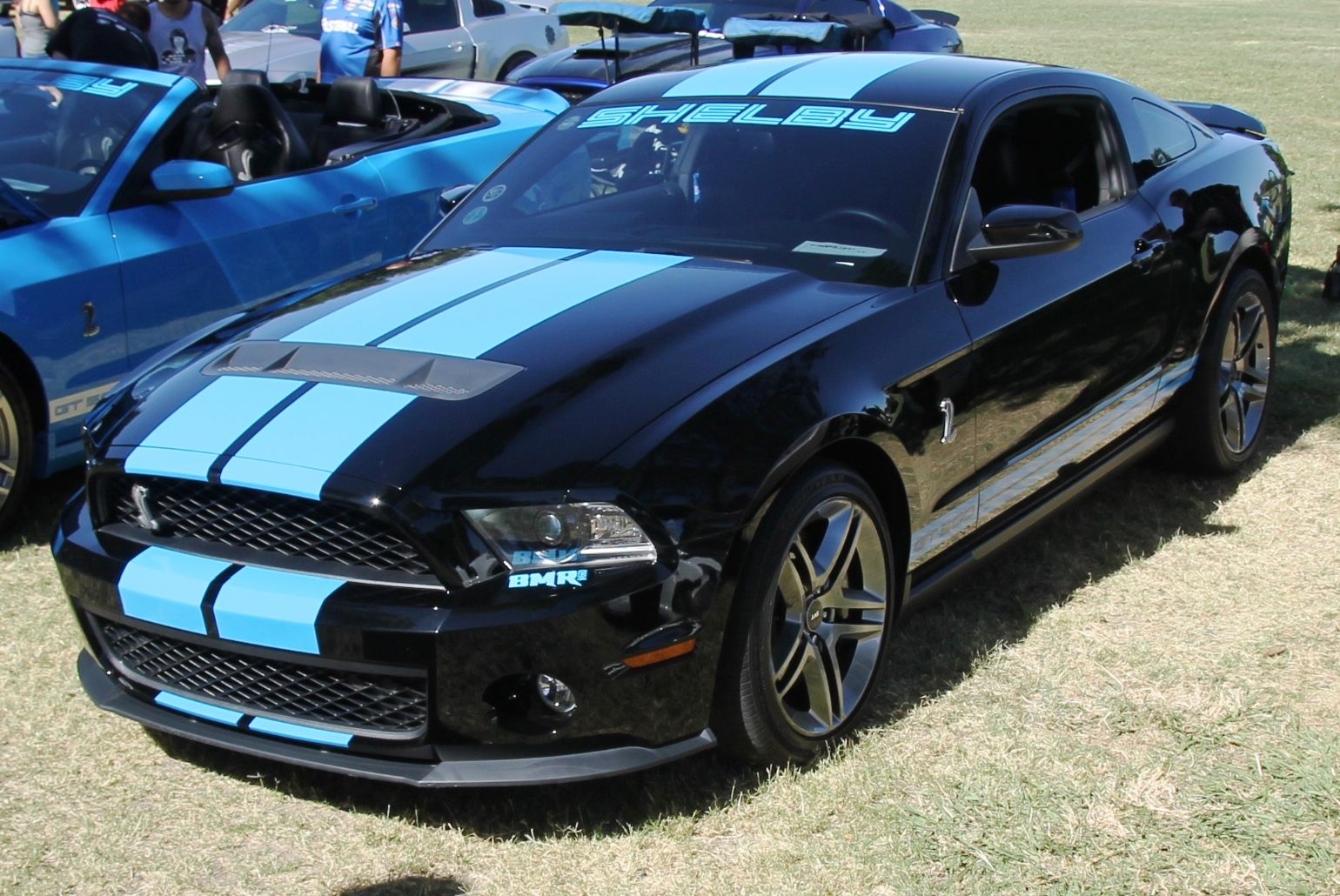 Full View