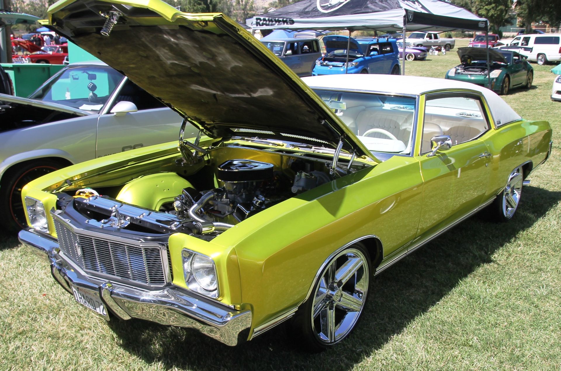 Full View