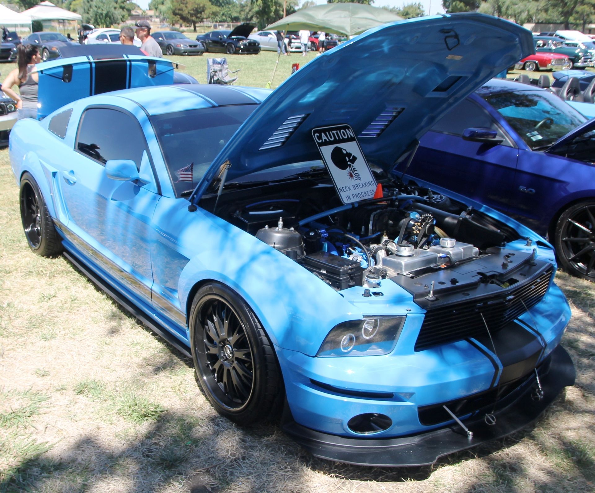 Full View