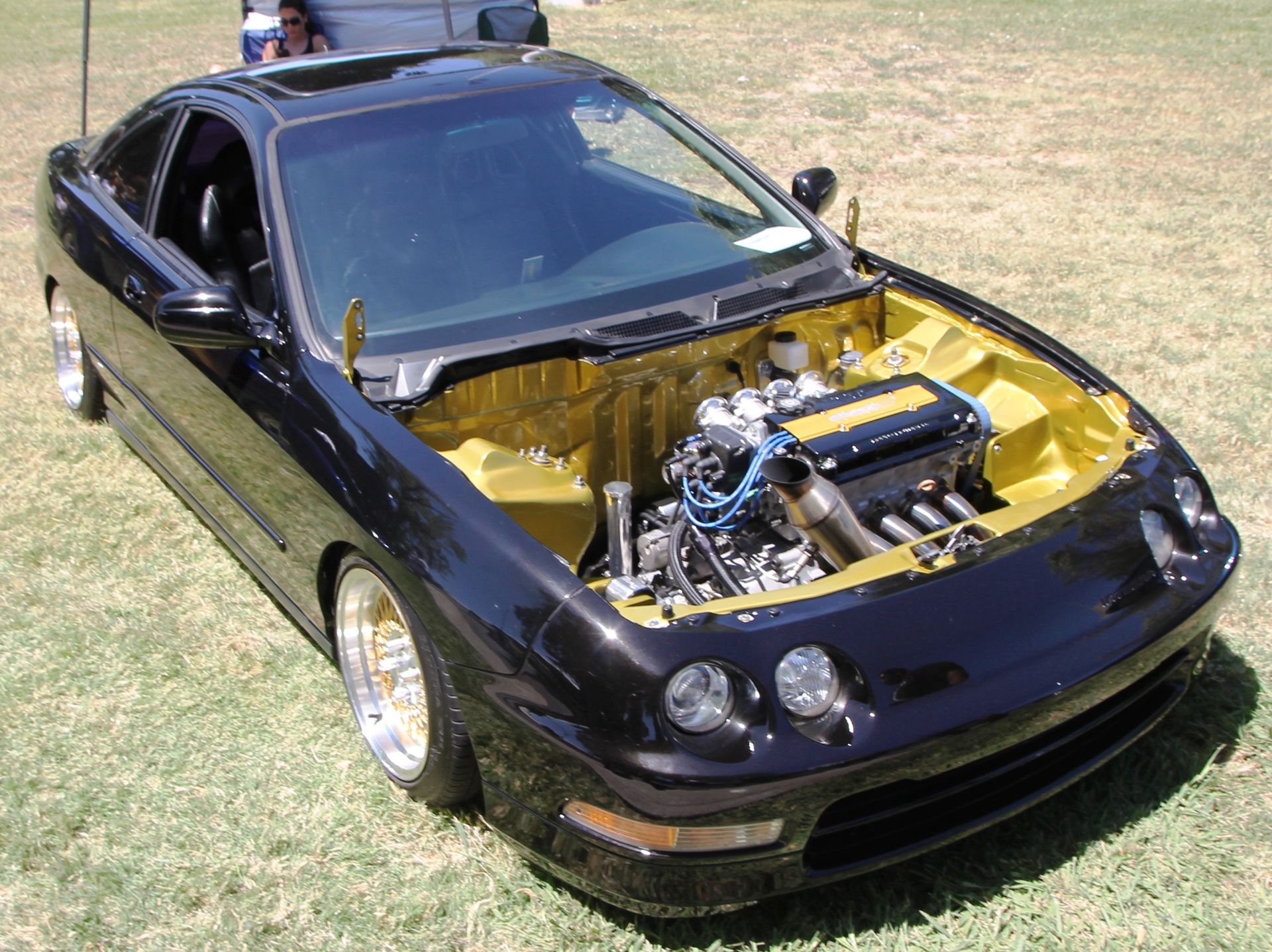 Full View