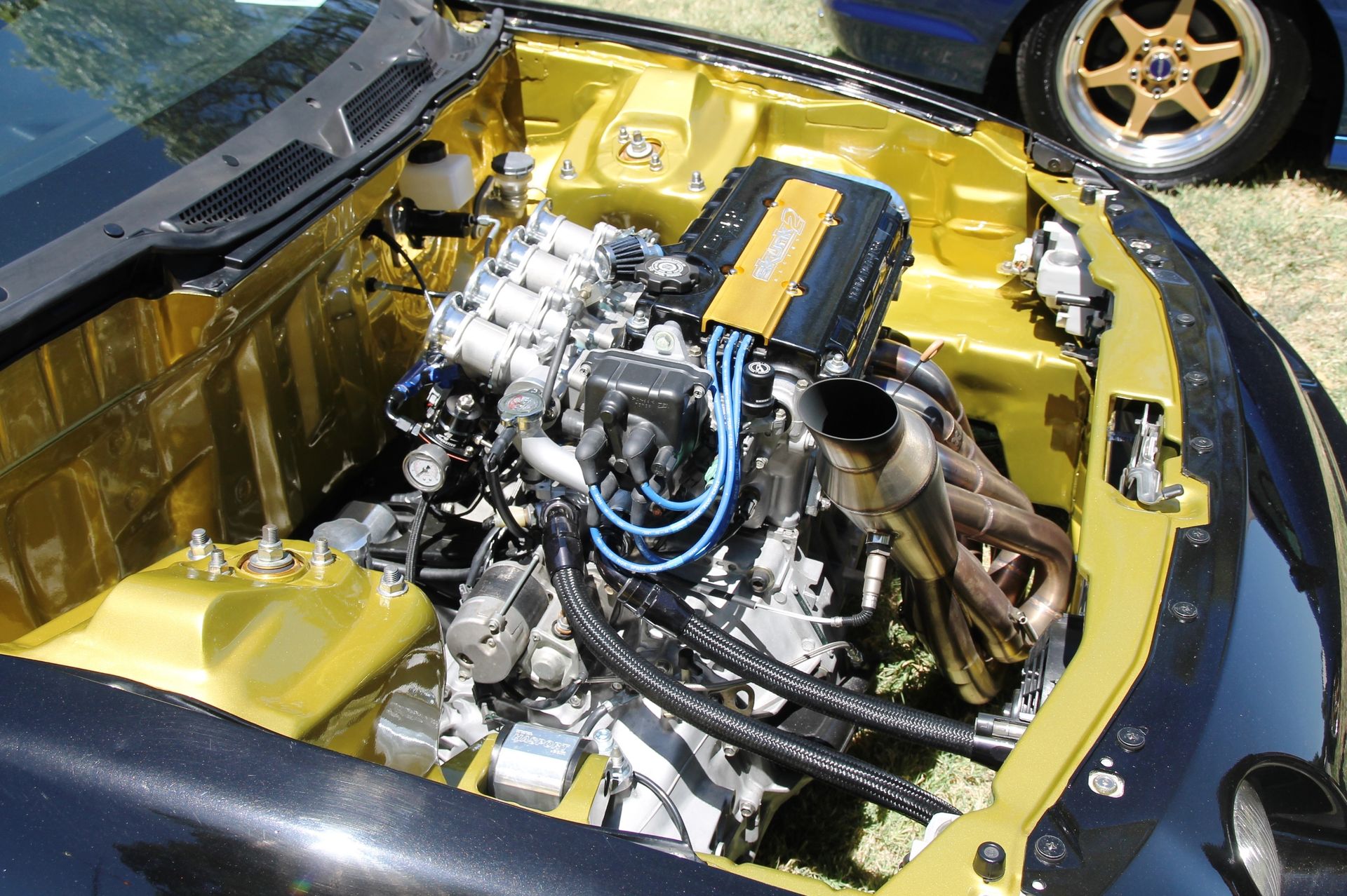 Full View