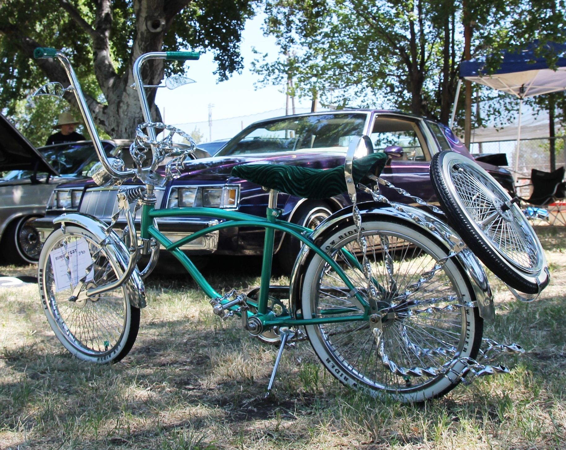 Full View