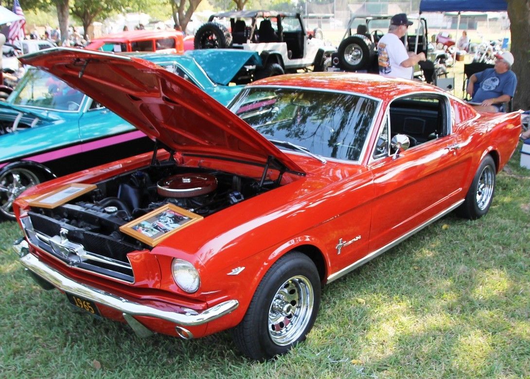 Full View