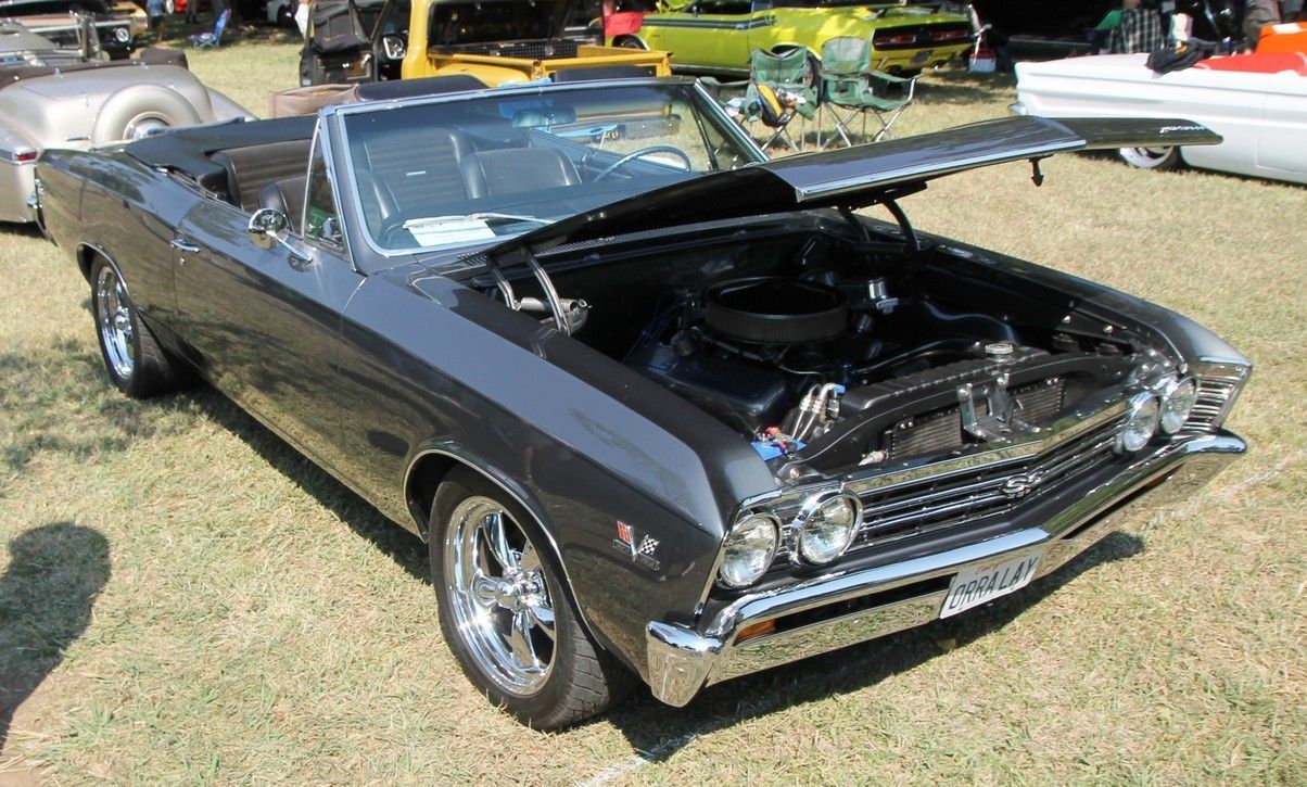 Full View