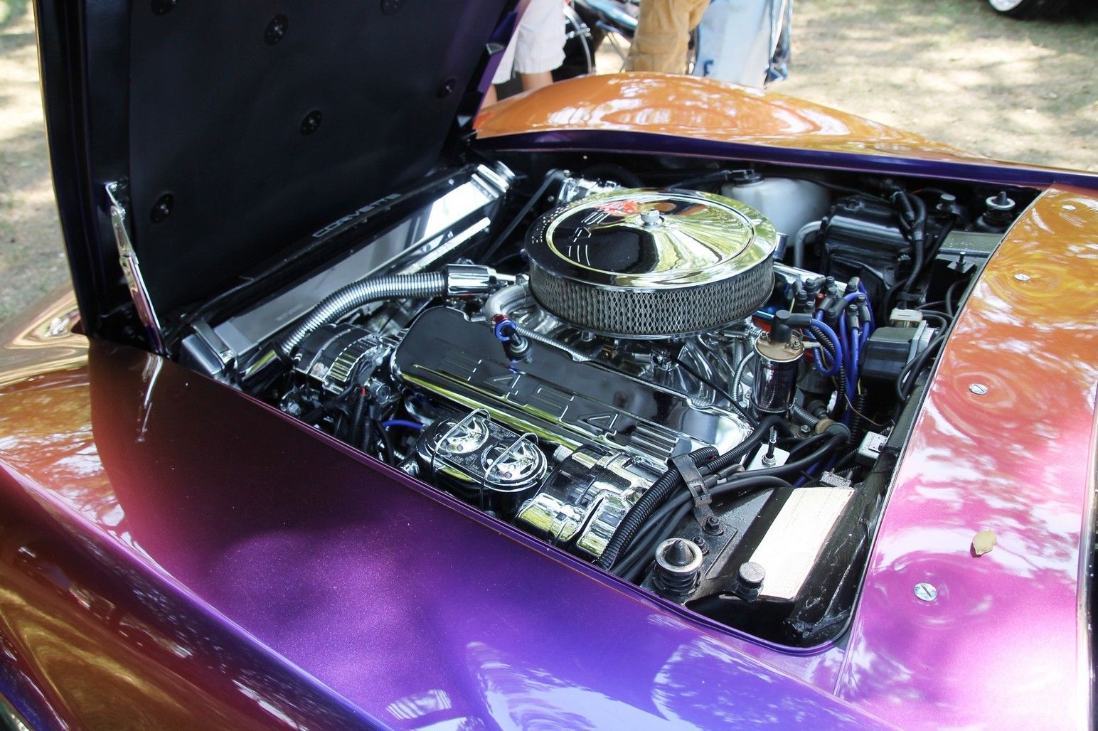 Full View