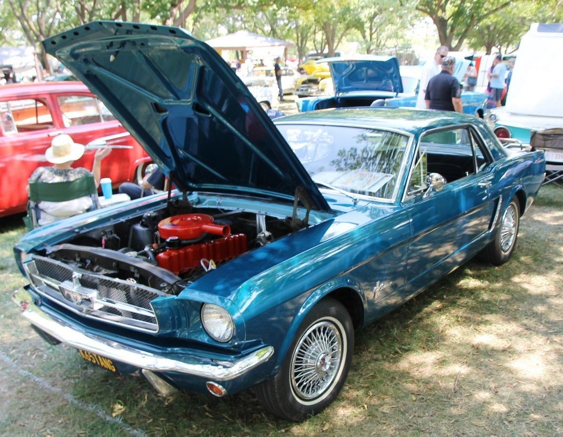 Full View