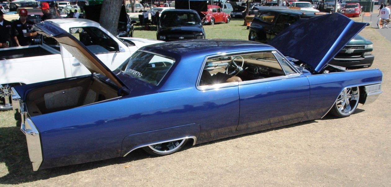 Full View