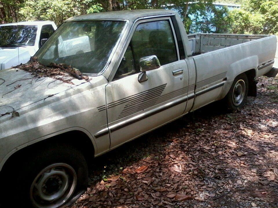 Full View