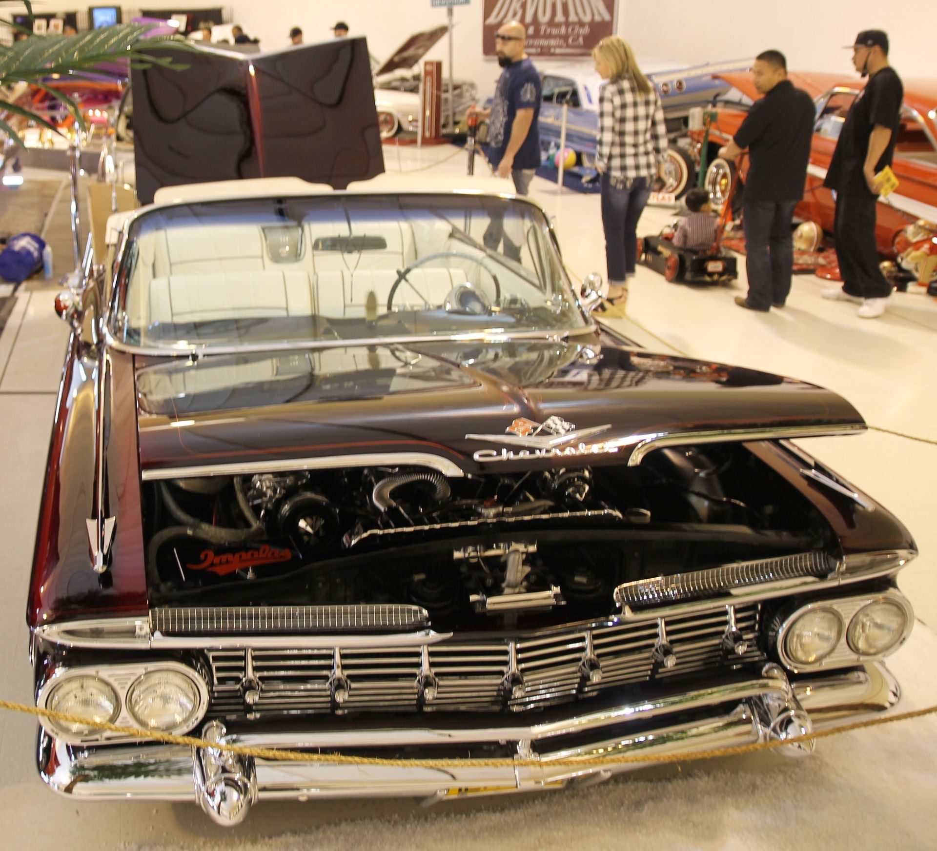 Full View