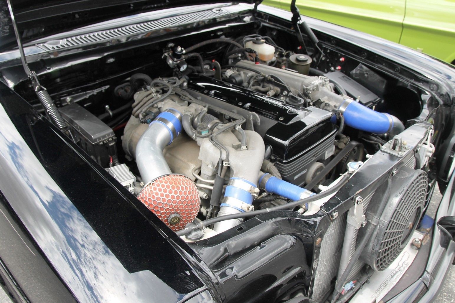 Full View