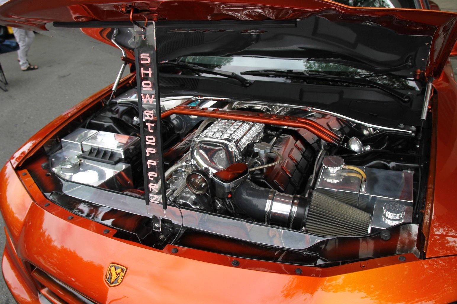 Full View