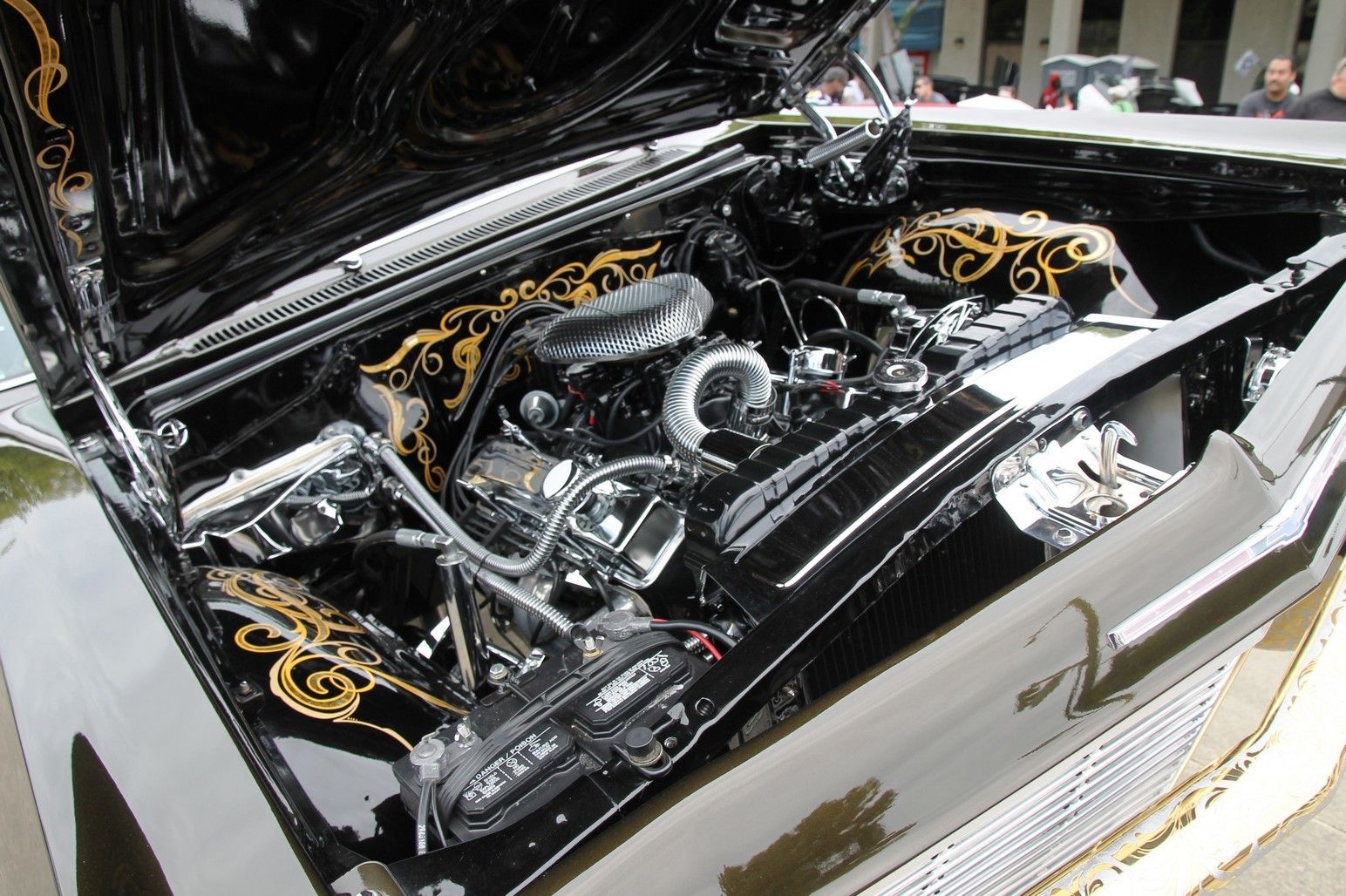 Full View