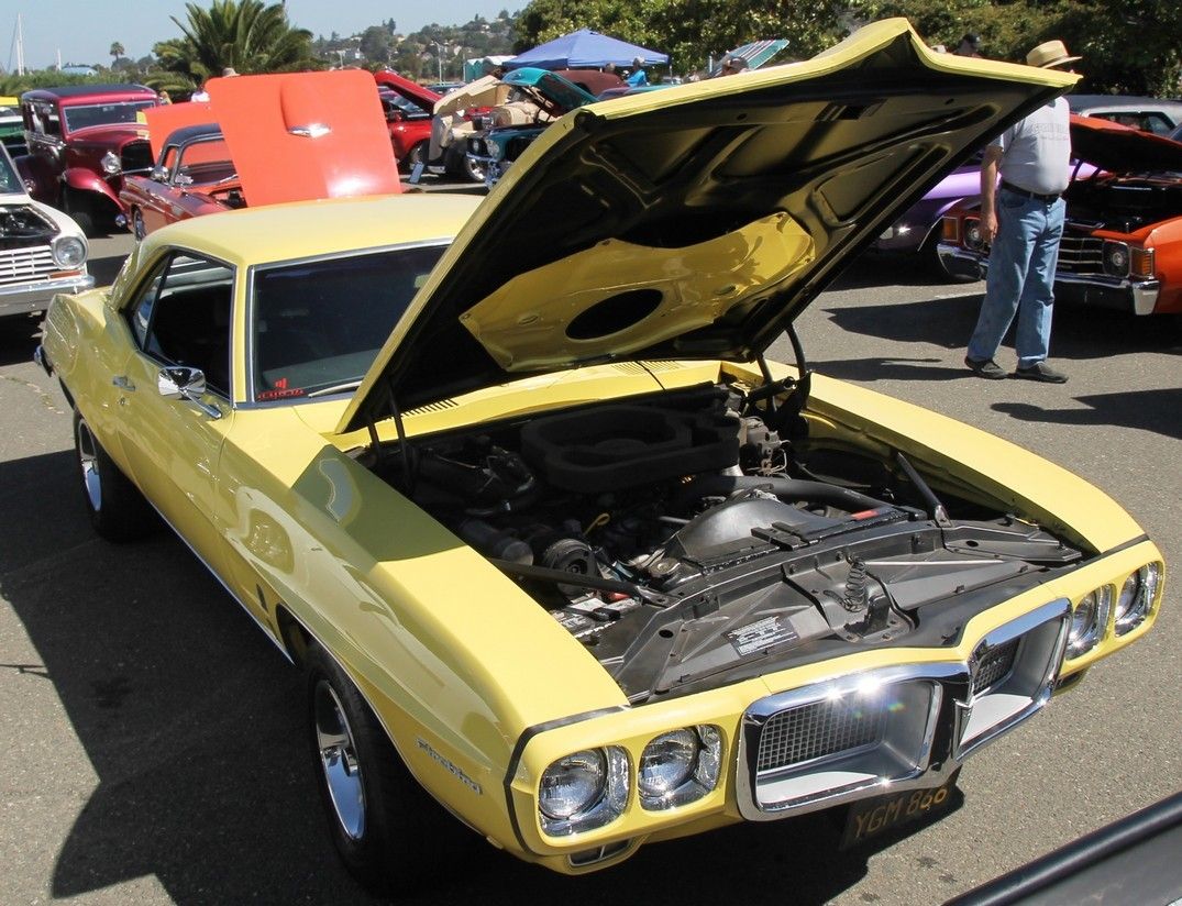 Full View