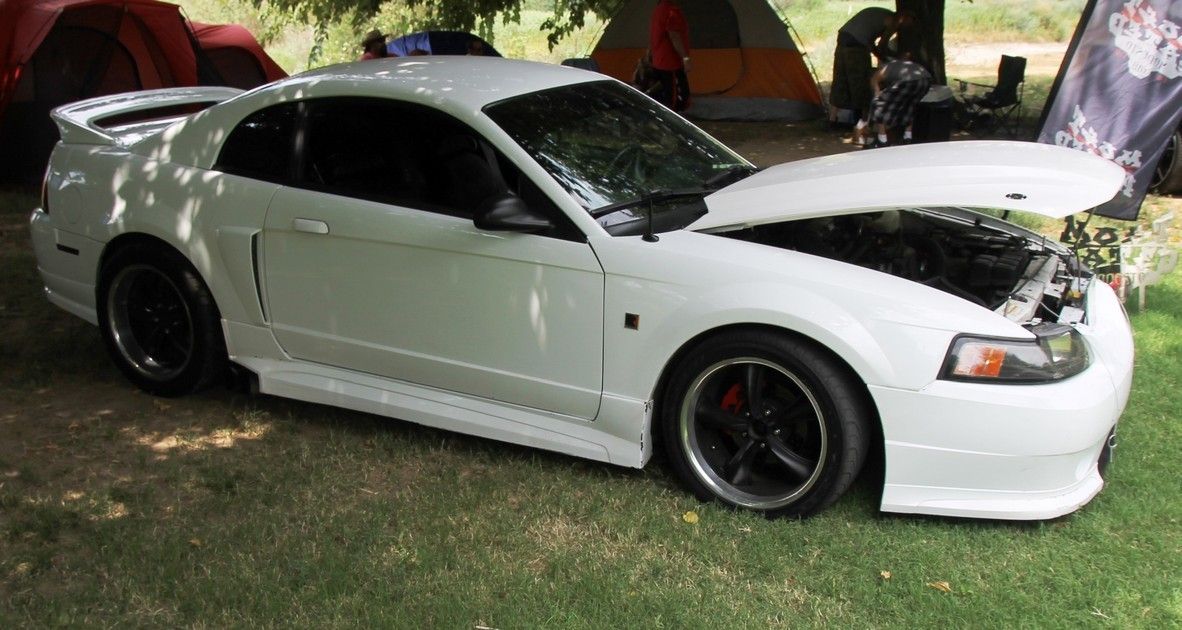 Full View