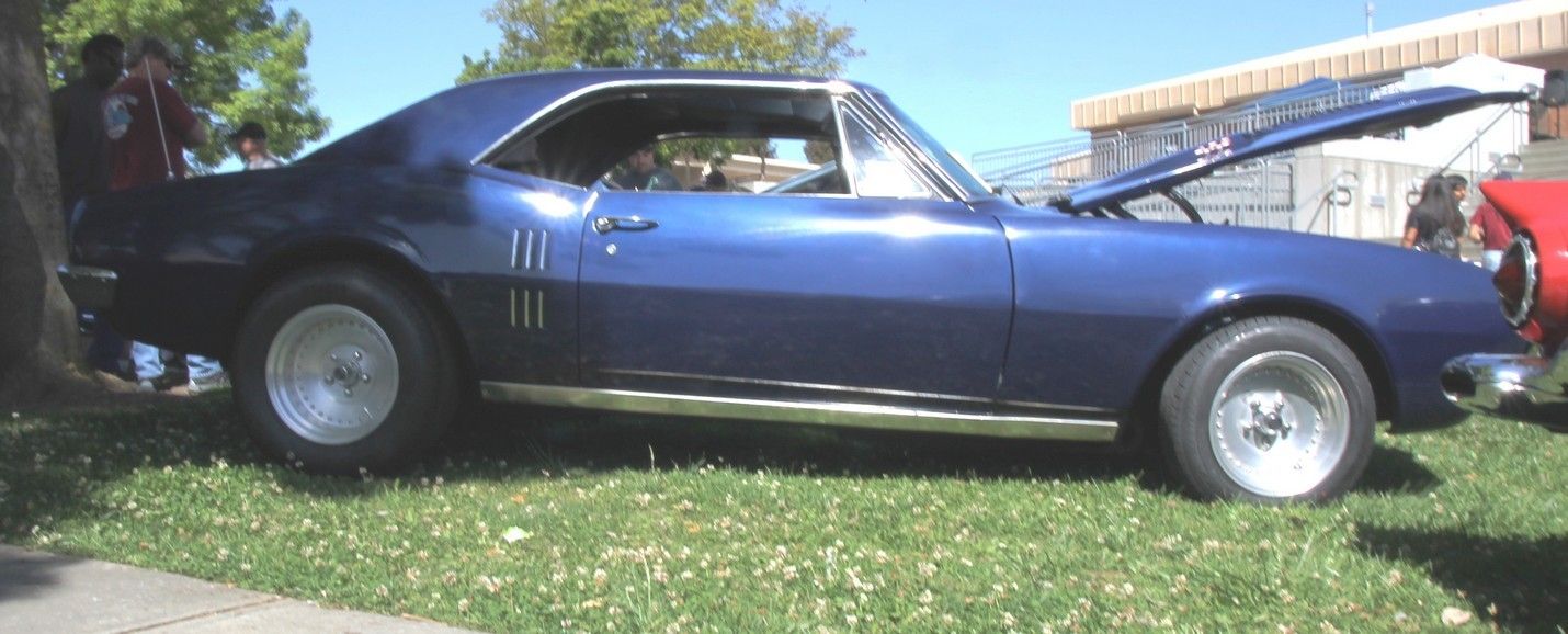 Full View