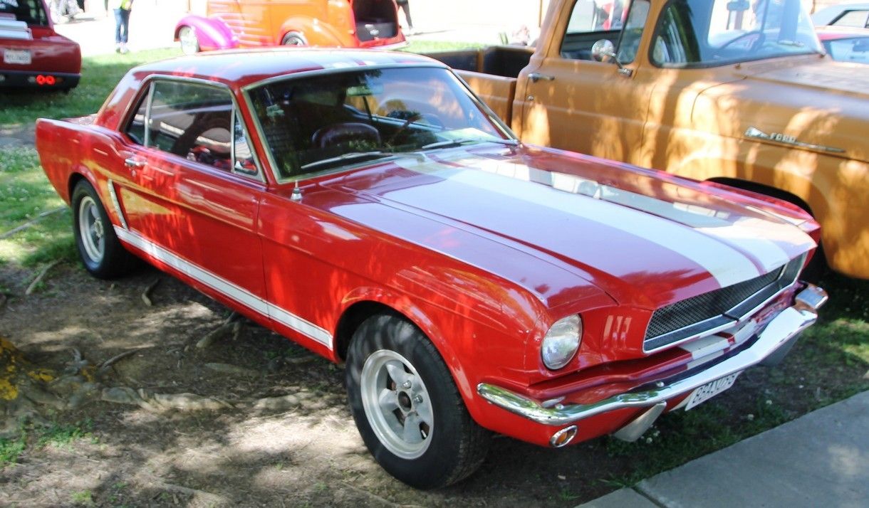 Full View