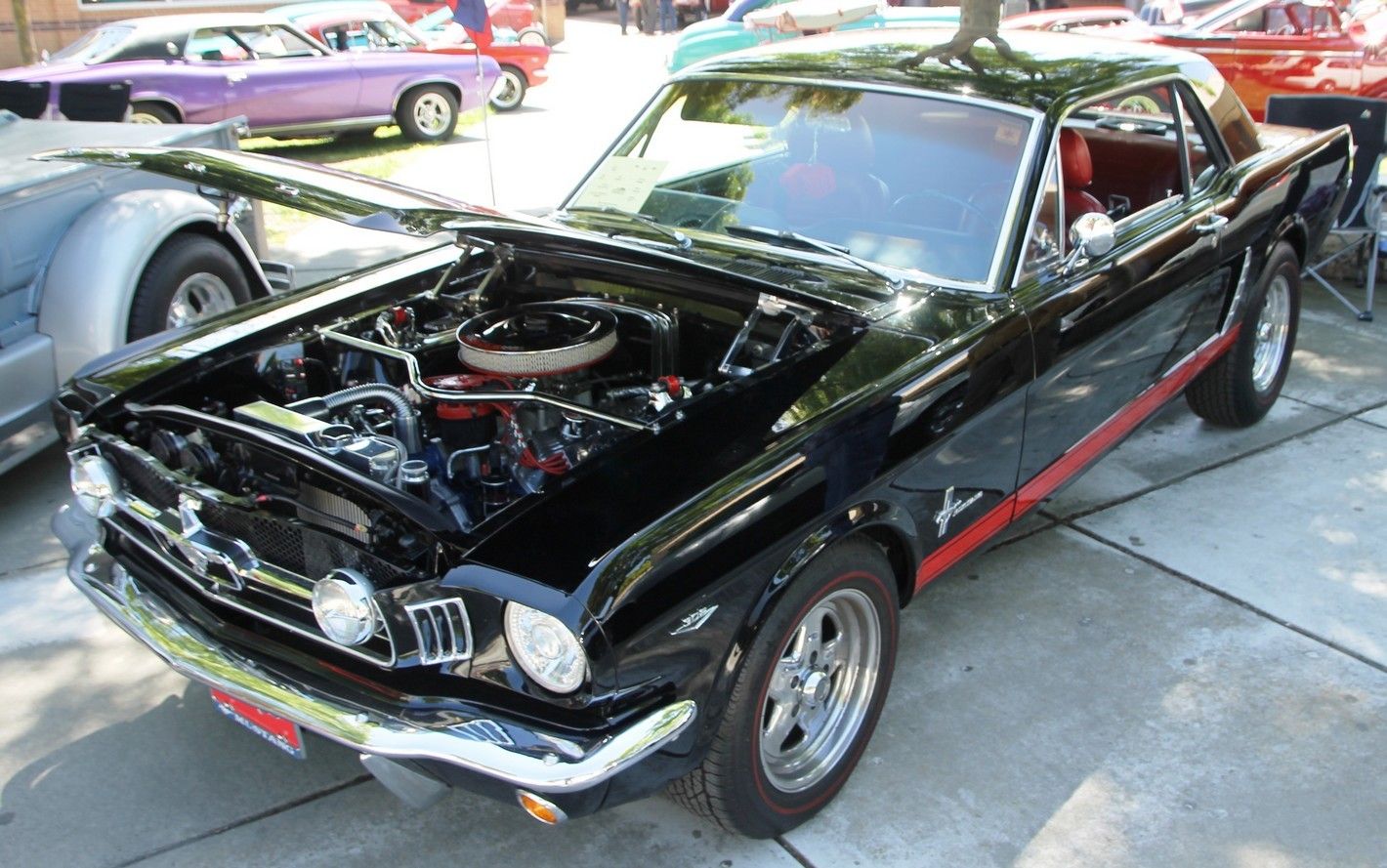 Full View