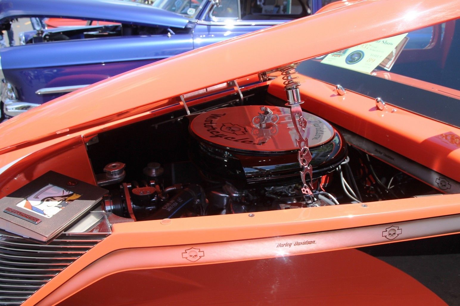 Full View