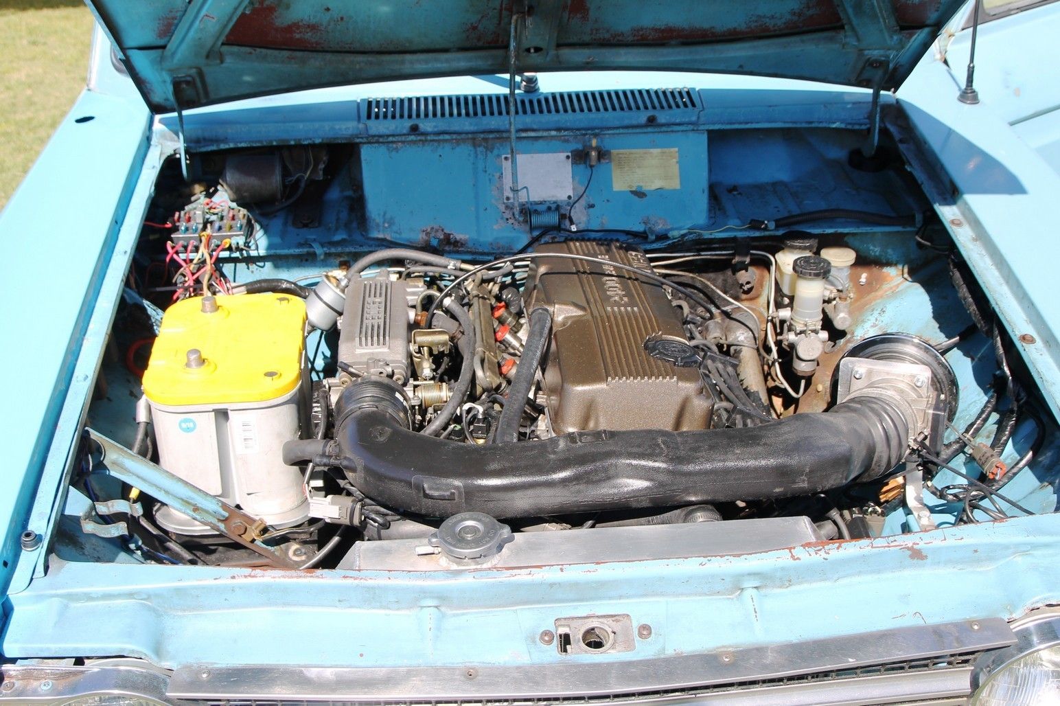 Full View