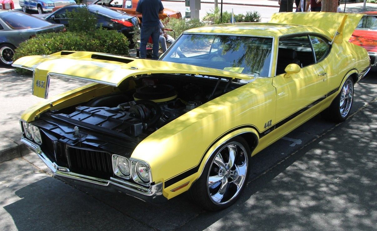 Full View