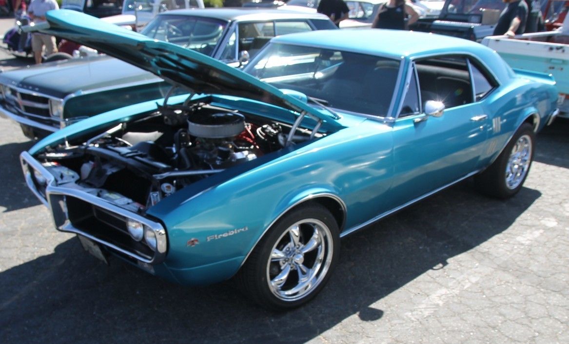 Full View
