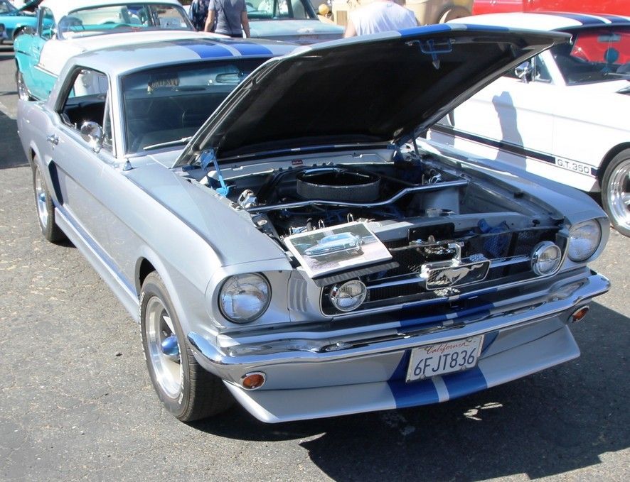 Full View