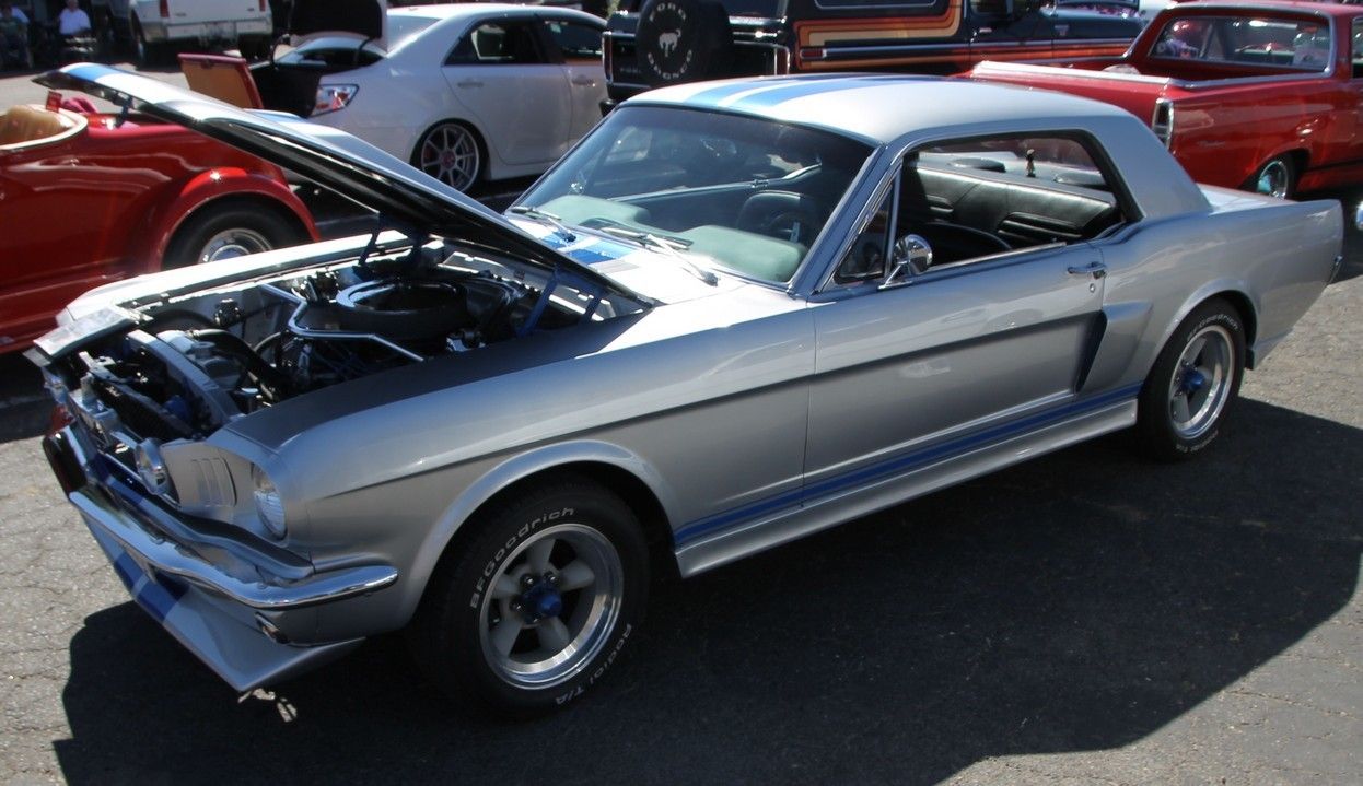 Full View