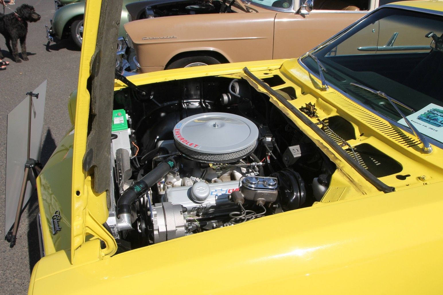 Full View