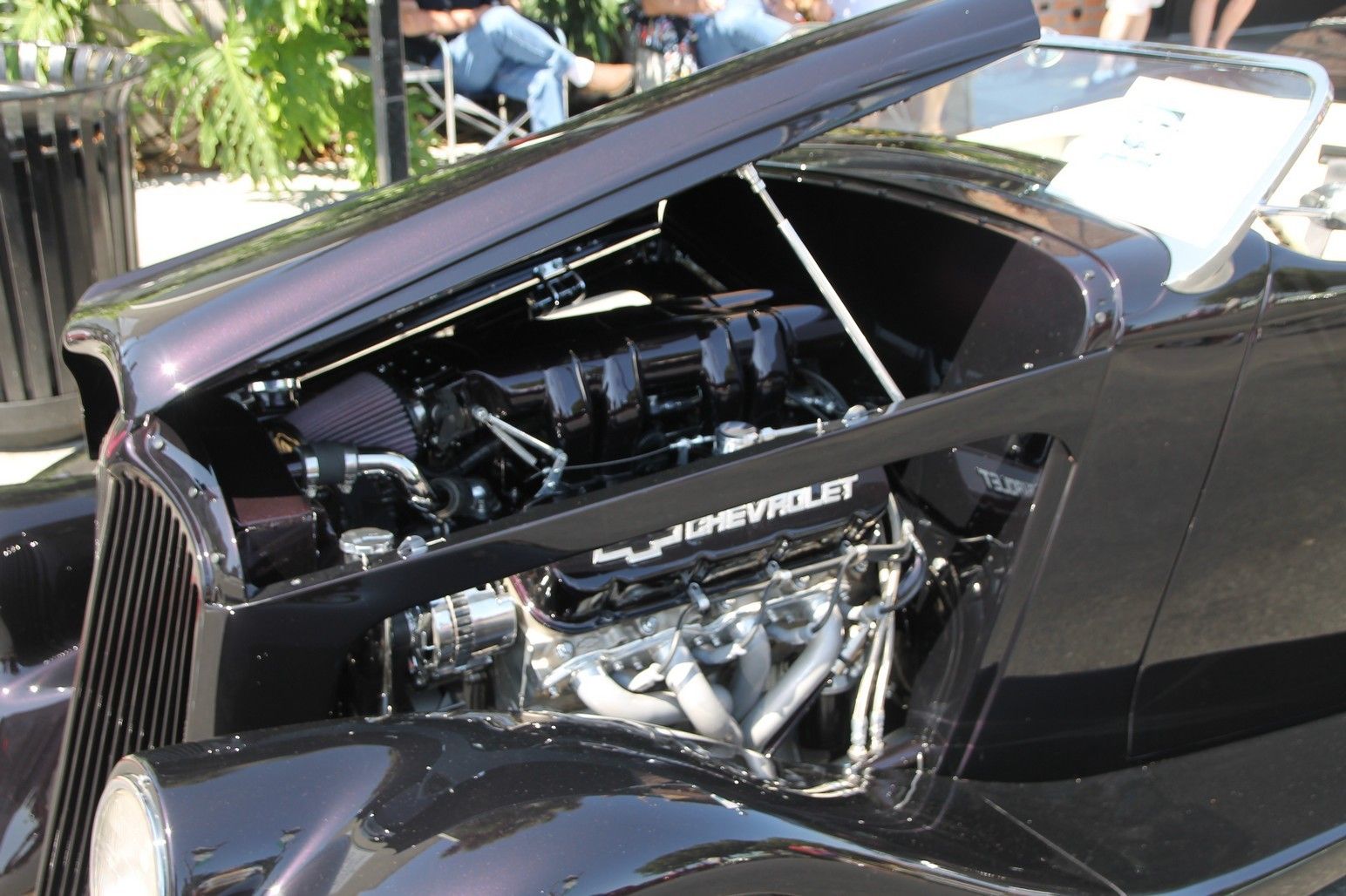 Full View