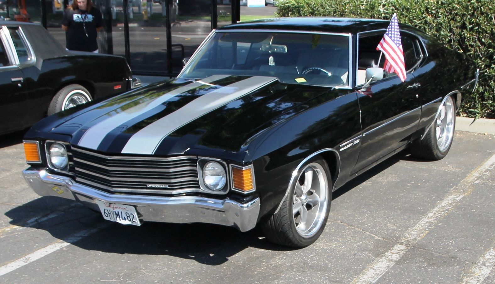 Full View