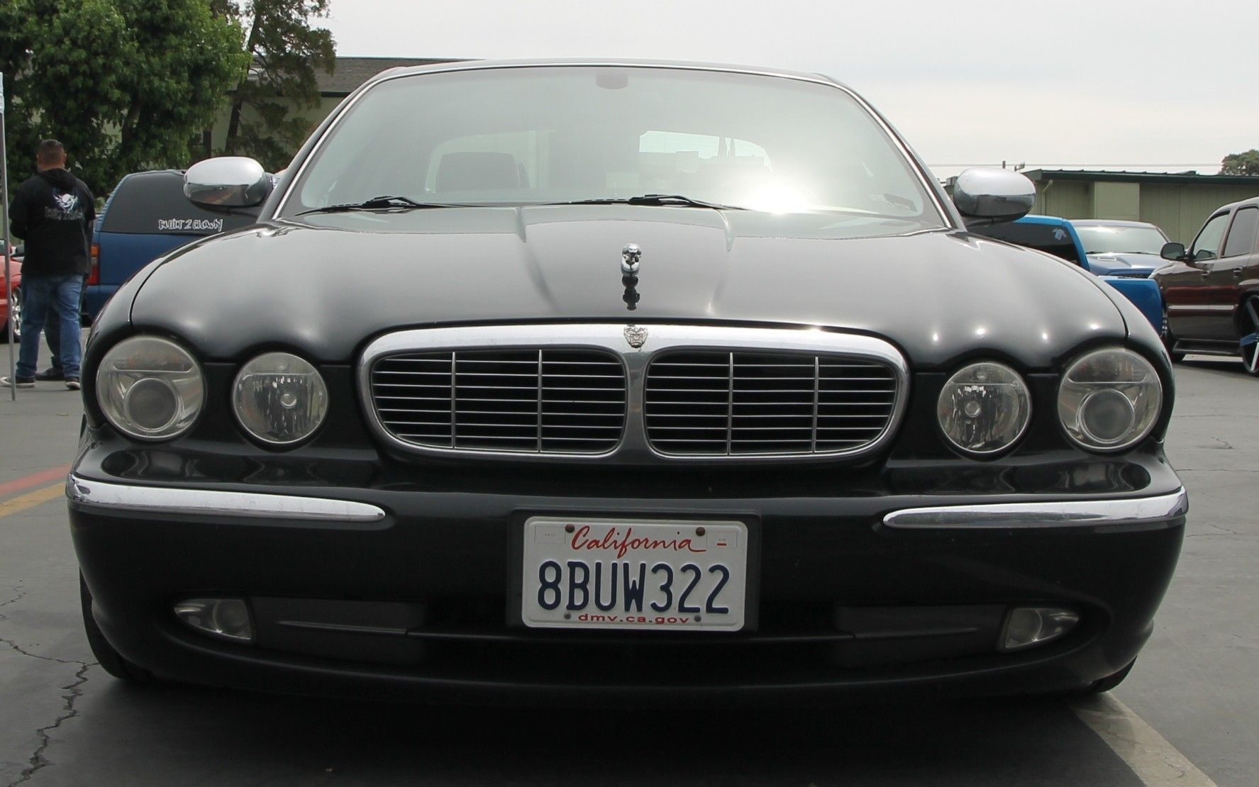 Full View