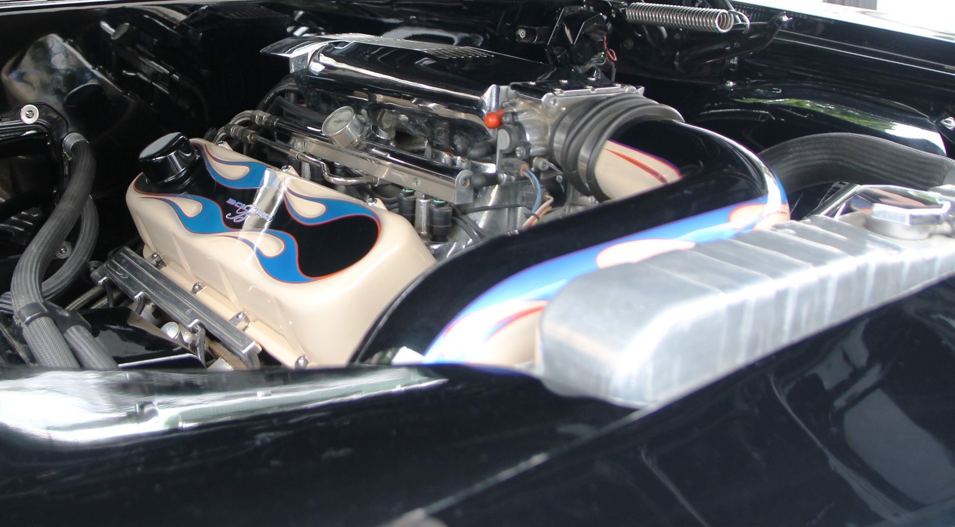 Full View