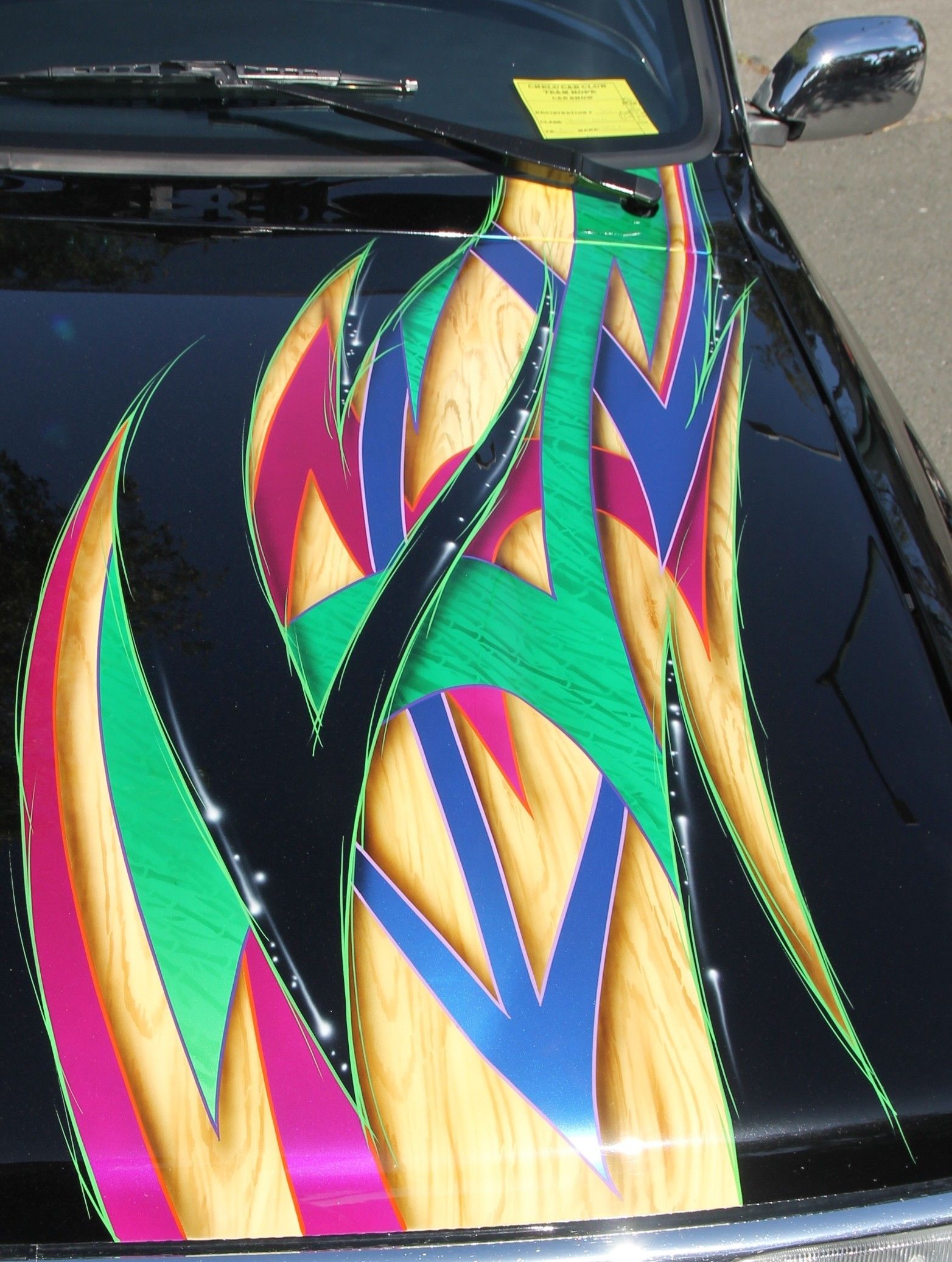 Full View