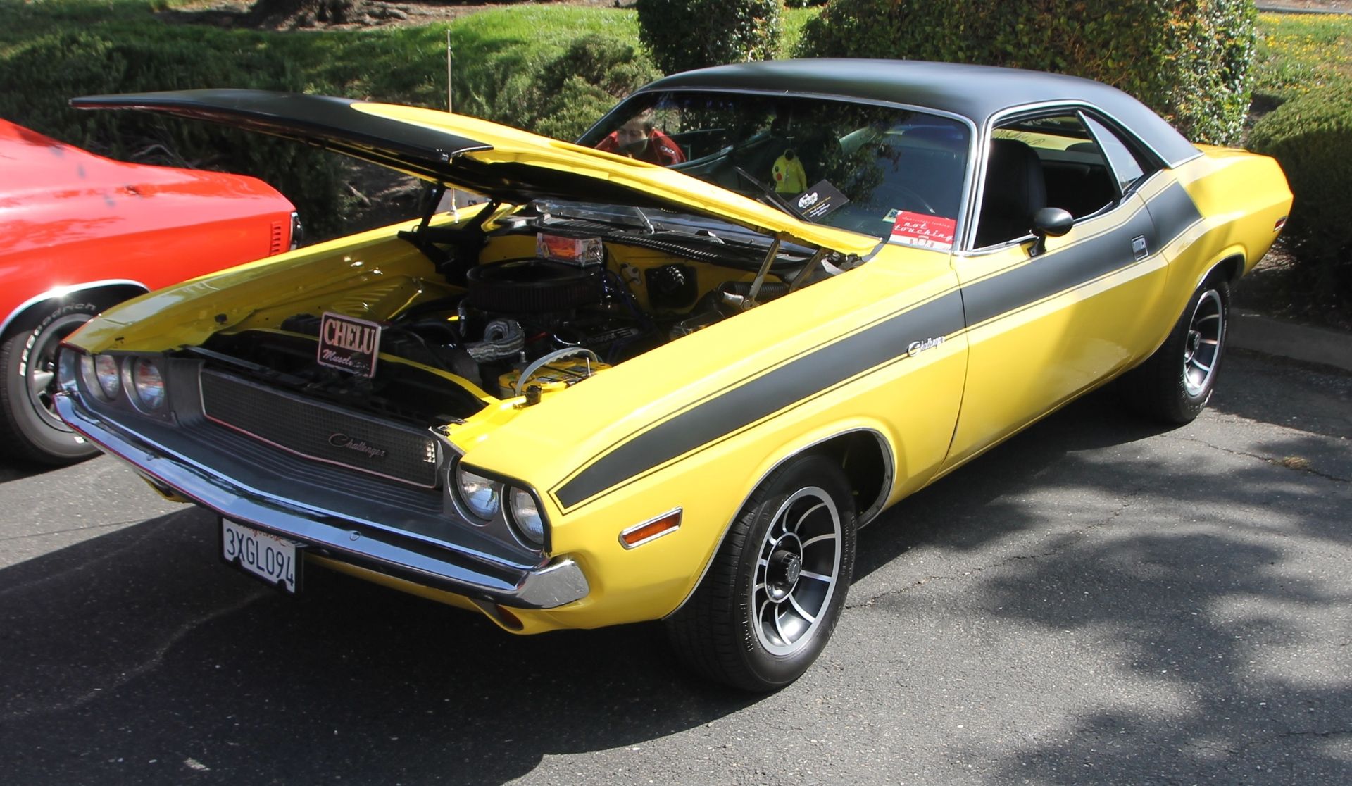Full View