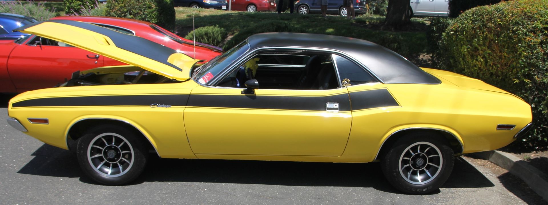 Full View