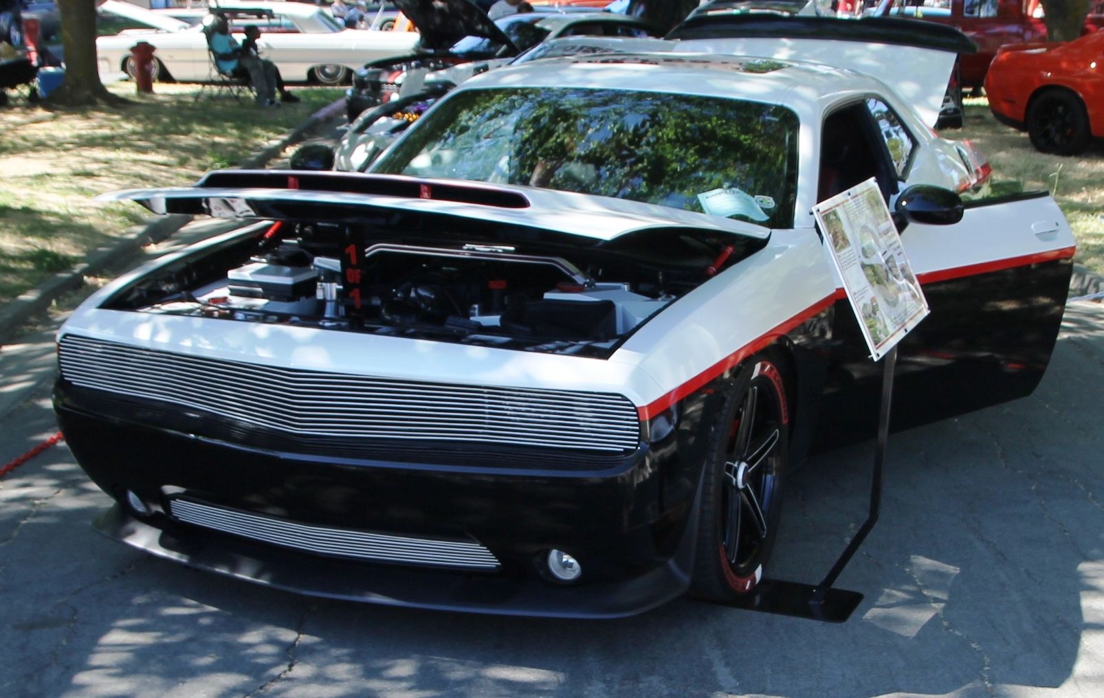 Full View