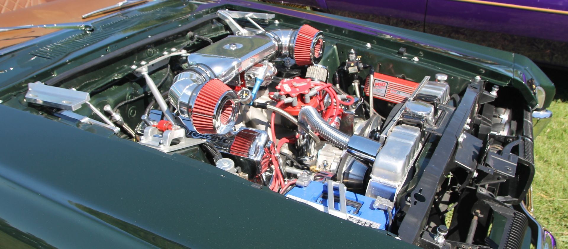 Full View