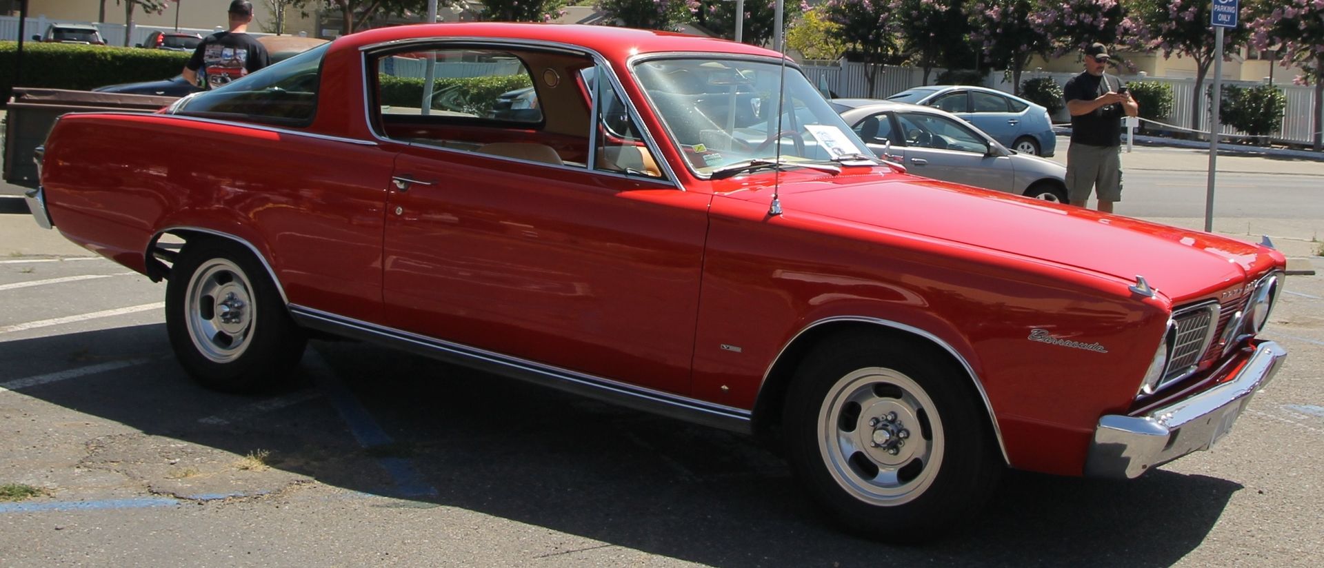 Full View