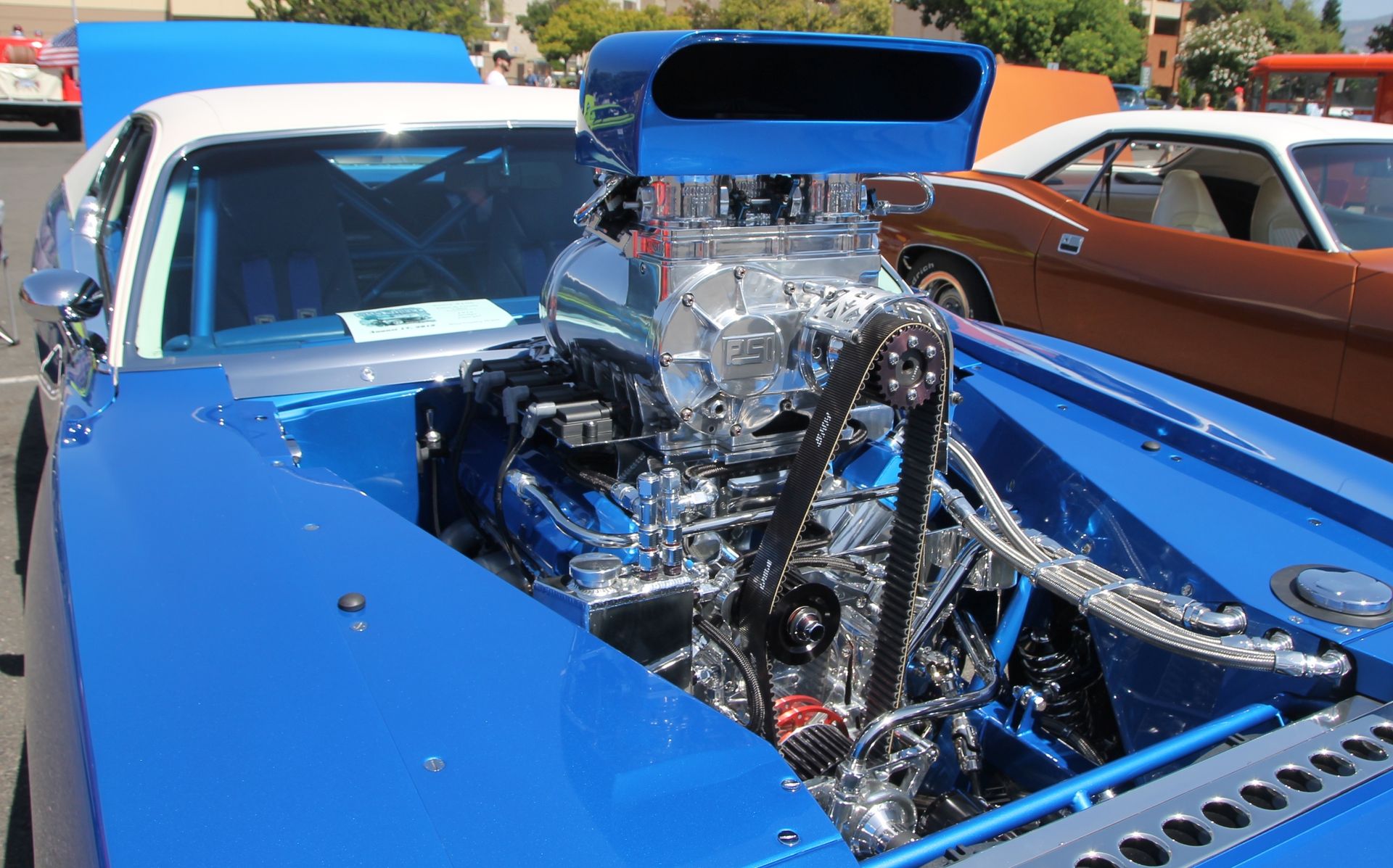 Full View