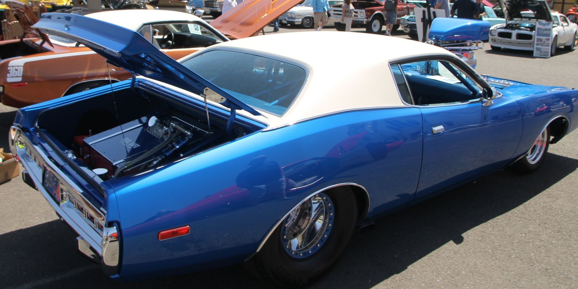 Full View