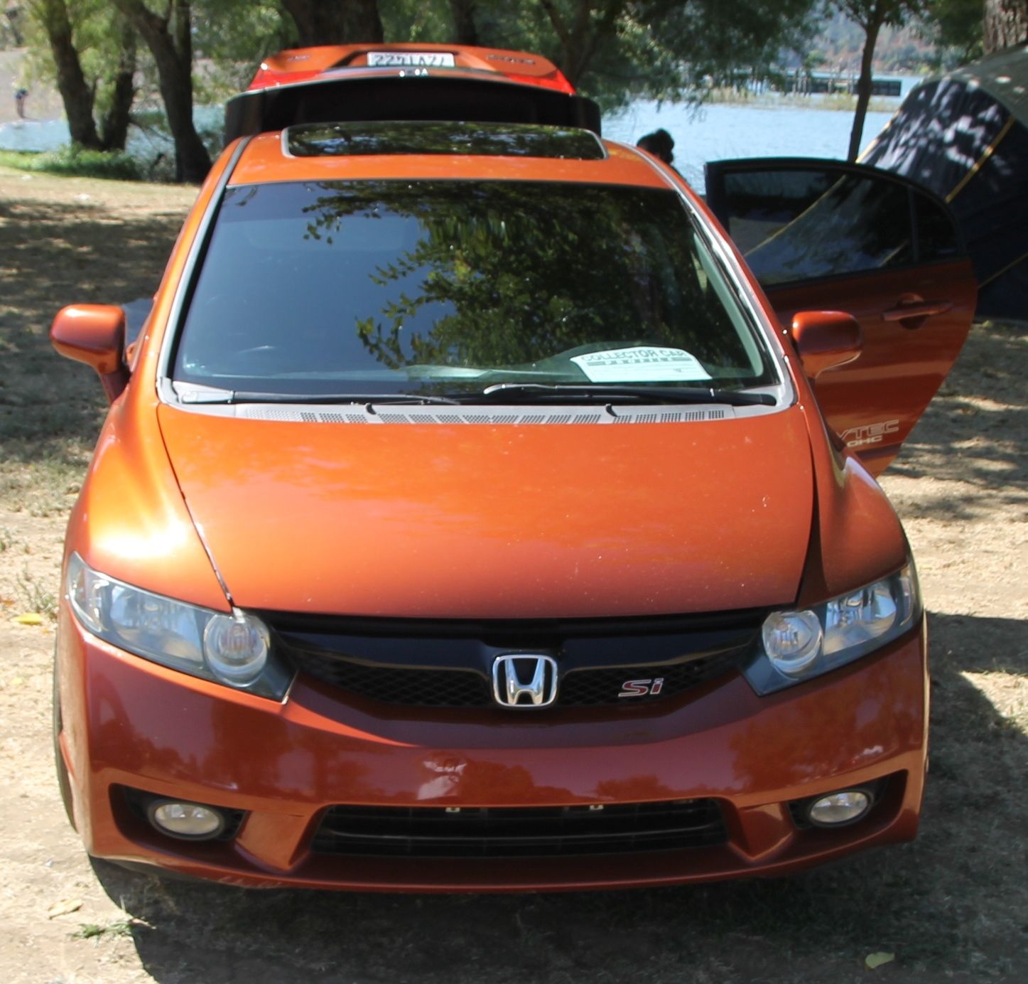 Full View