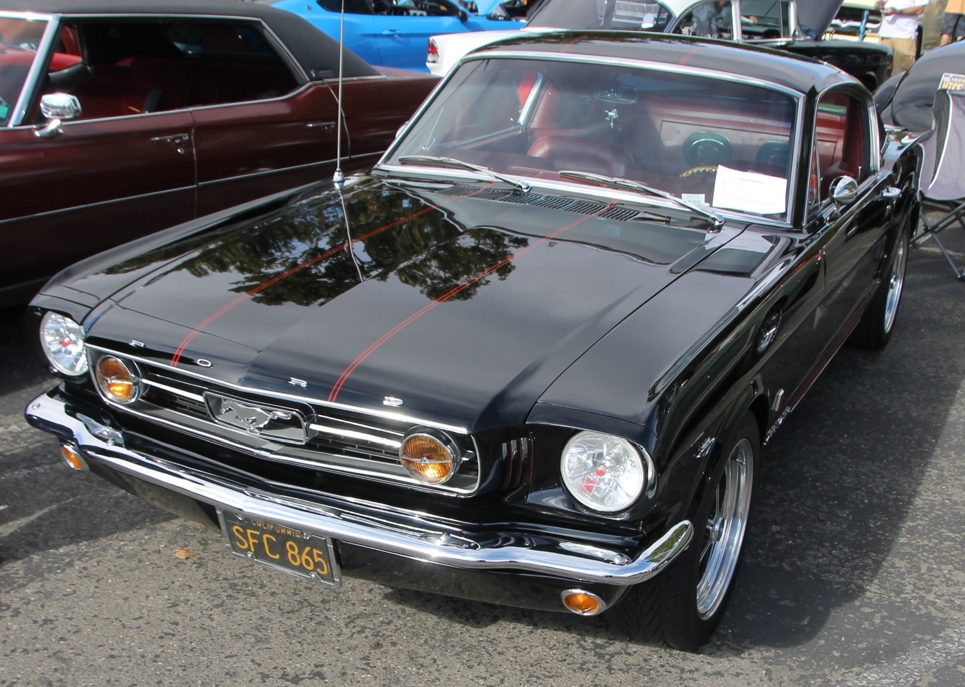 Full View