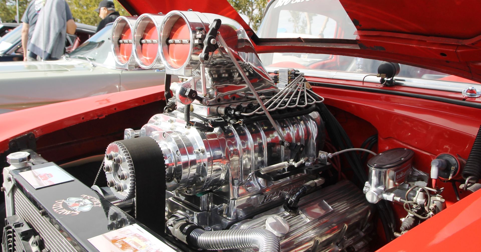Full View