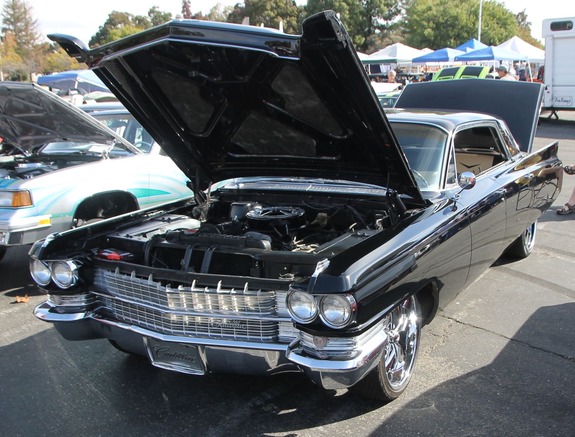 Full View