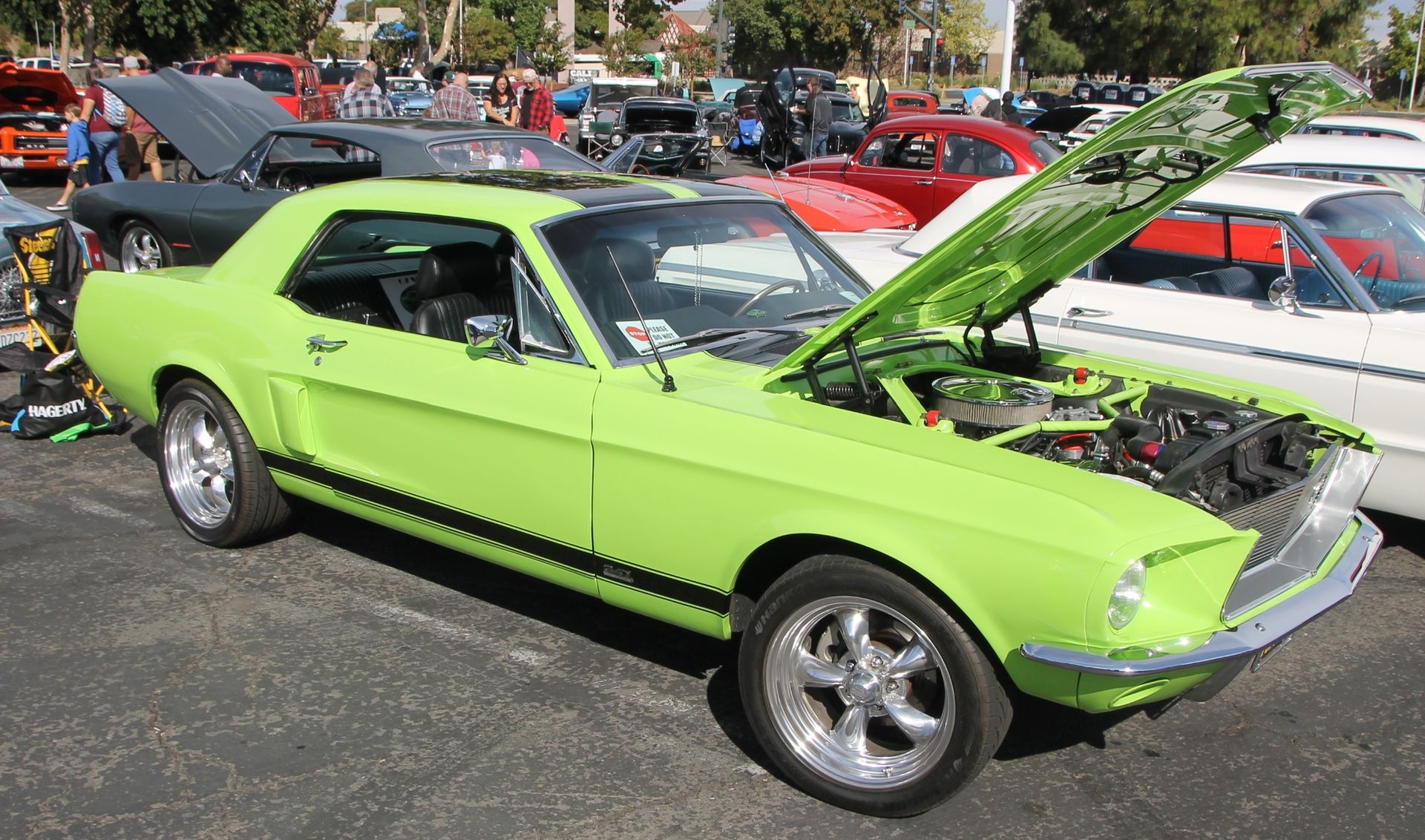 Full View