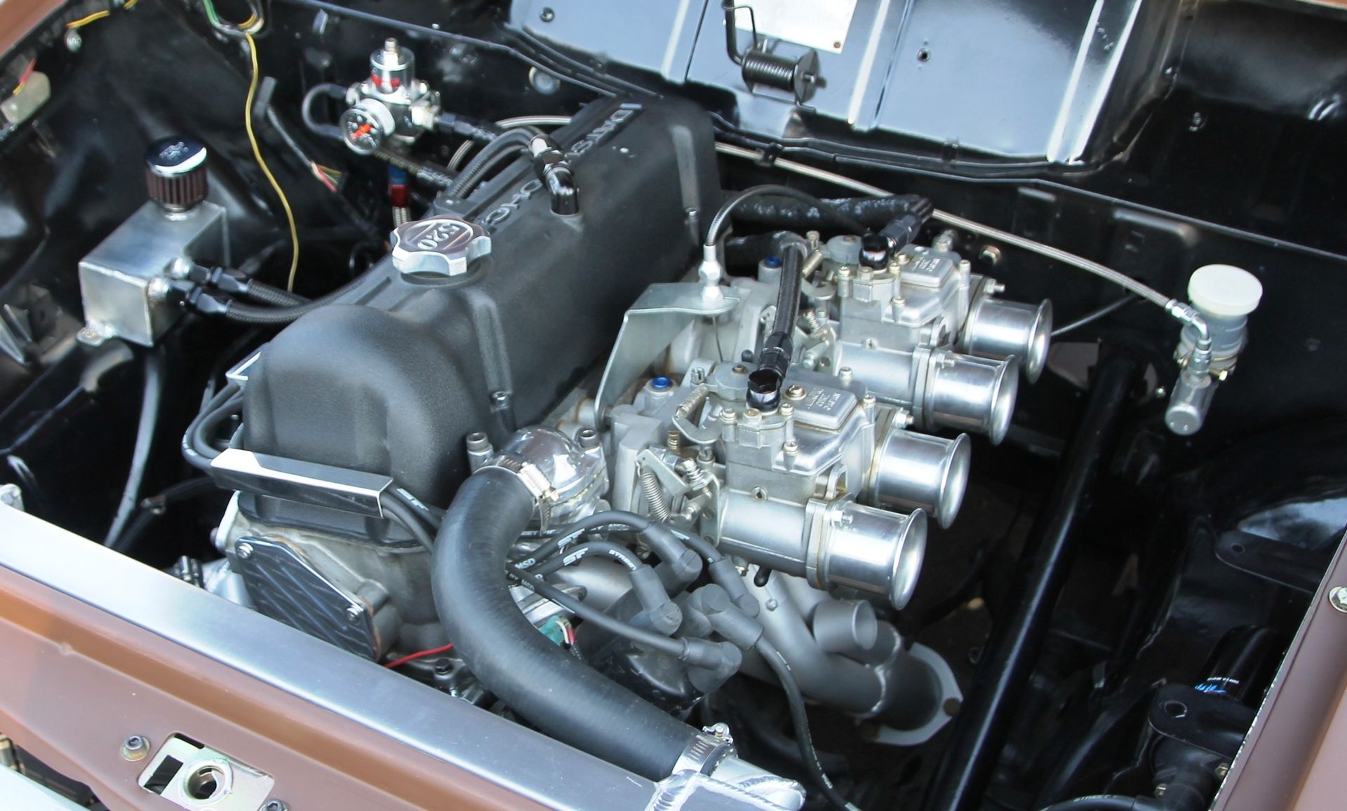 Full View