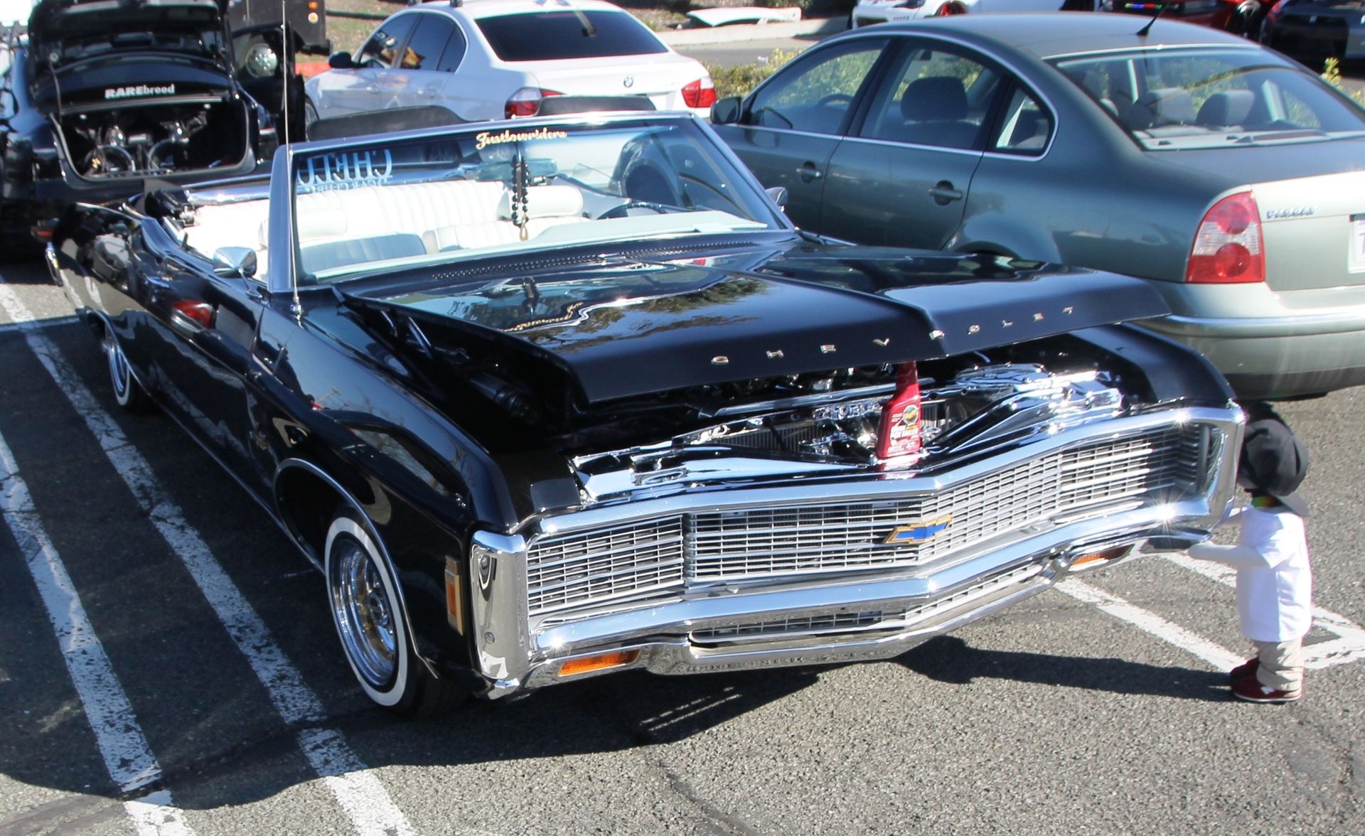 Full View